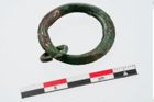 Foto von Bronzering (NHMW-PRAE-024215)